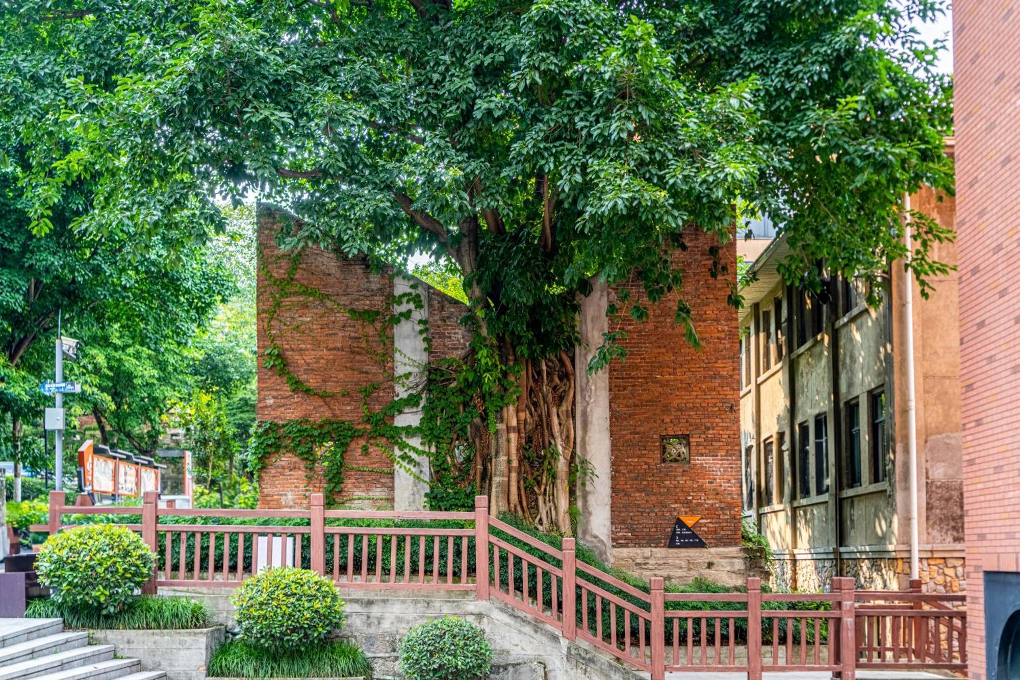 Wuyu Hotel - Chongqing University & Ciqikou Ancinet Town ภายนอก รูปภาพ